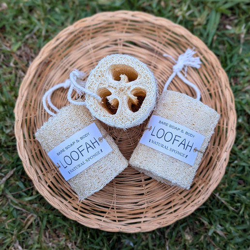Loofah