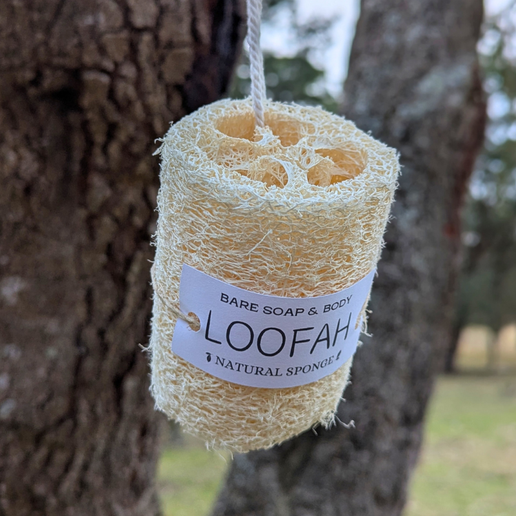 Loofah